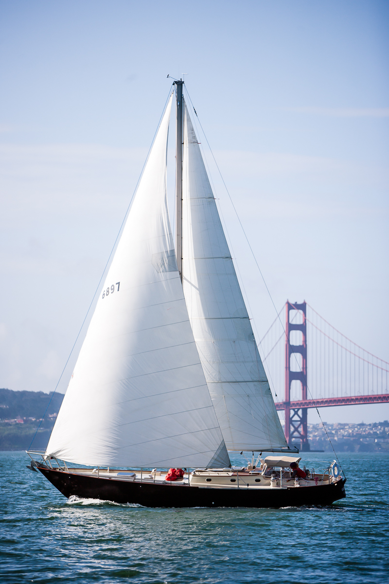 sailing vessel carodon is sailing san francisco bay!